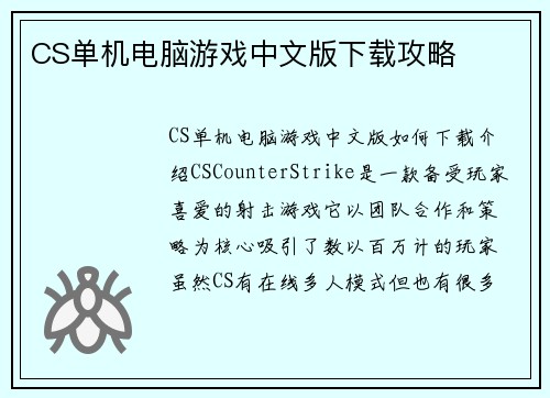 CS单机电脑游戏中文版下载攻略